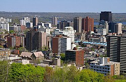 Find Immigration Consultants in Hamilton