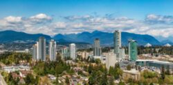 Find Immigration Consultants in Surrey